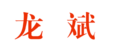 老龙严选创始人龙斌