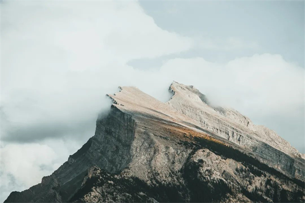 壹加壹岩板